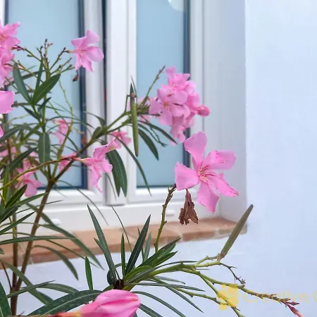 Appartamento Casa Arbonaida *