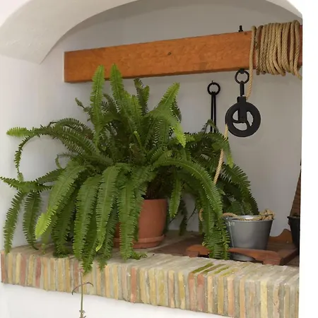 Appartamento Casa Arbonaida Vejer de la Frontera