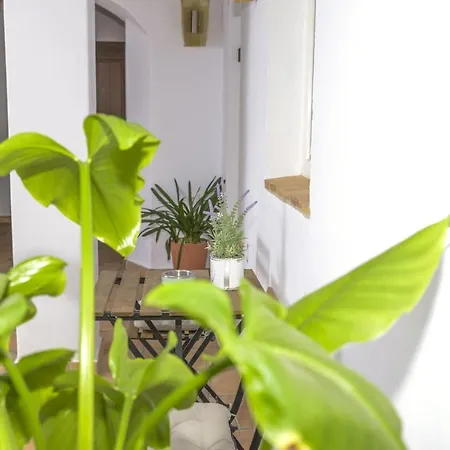 Casa Arbonaida * Vejer de la Frontera